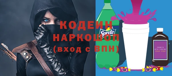 шишки Белоозёрский