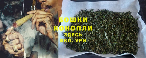 шишки Белоозёрский