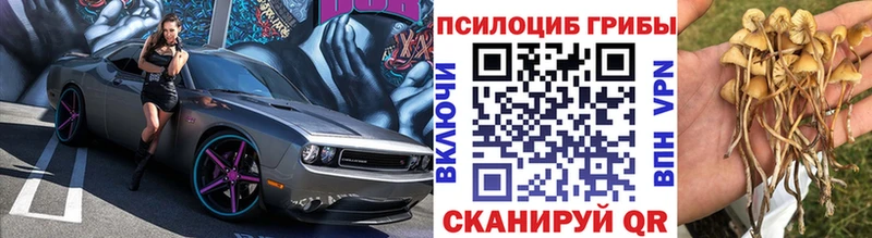 Псилоцибиновые грибы GOLDEN TEACHER  площадка как зайти  Кстово 